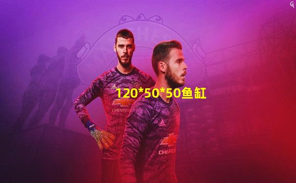 120*50*50鱼缸