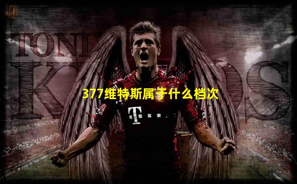 377维特斯属于什么档次
