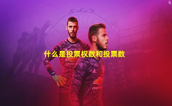 什么是投票权数和投票数