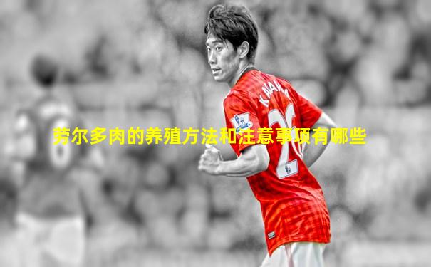 劳尔多肉的养殖方法和注意事项有哪些