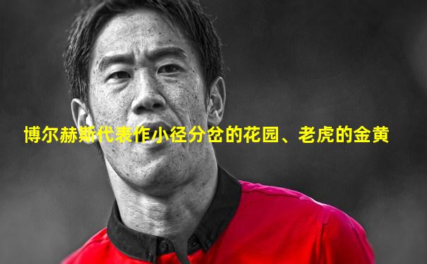 博尔赫斯代表作小径分岔的花园、老虎的金黄