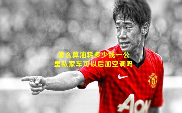 怎么算油耗多少钱一公里私家车可以后加空调吗