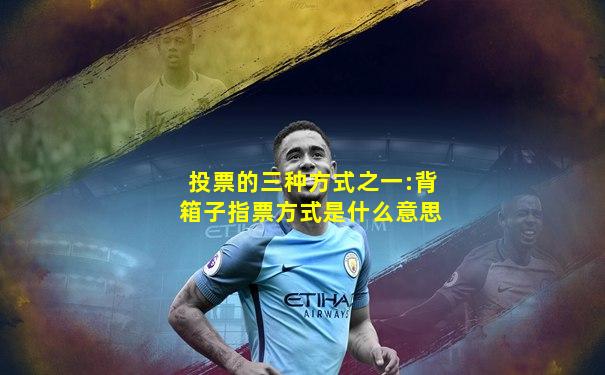 投票的三种方式之一:背箱子指票方式是什么意思