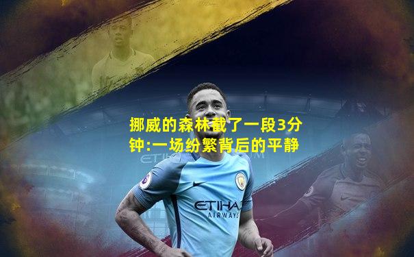 挪威的森林截了一段3分钟:一场纷繁背后的平静