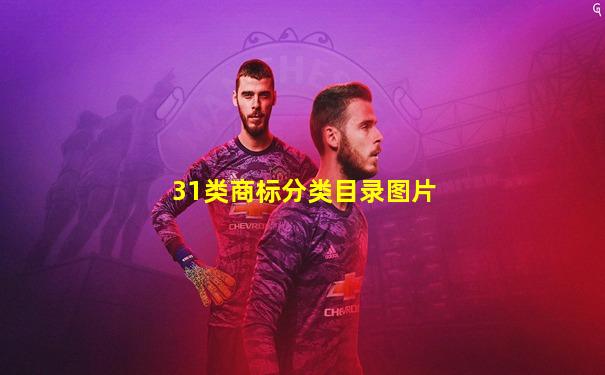 31类商标分类目录图片