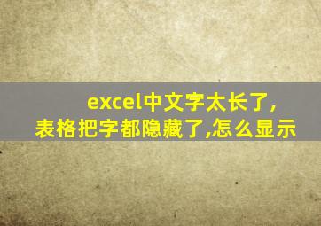 excel中文字太长了,表格把字都隐藏了,怎么显示