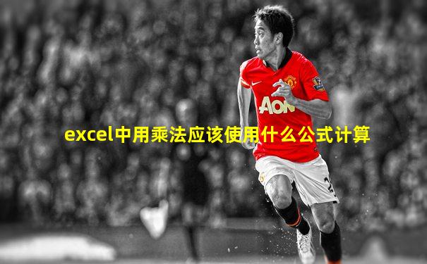excel中用乘法应该使用什么公式计算