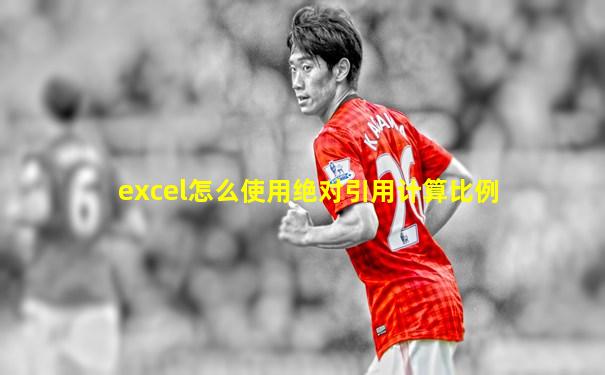 excel怎么使用绝对引用计算比例