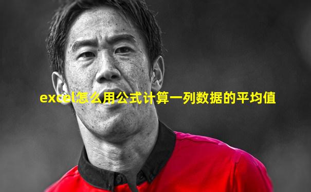 excel怎么用公式计算一列数据的平均值
