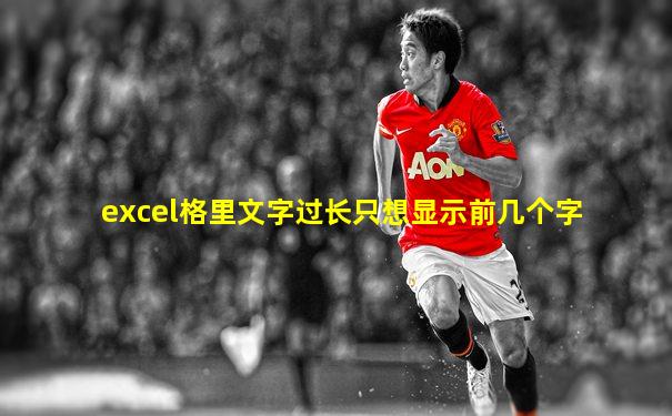 excel格里文字过长只想显示前几个字