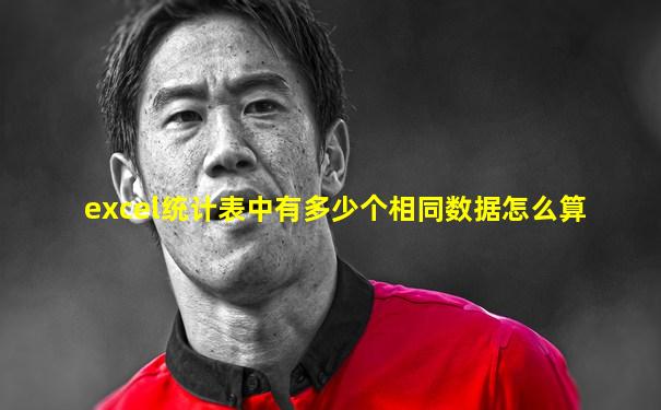 excel统计表中有多少个相同数据怎么算