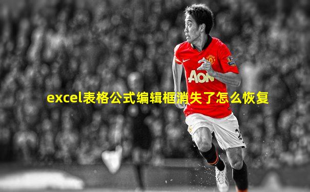 excel表格公式编辑框消失了怎么恢复