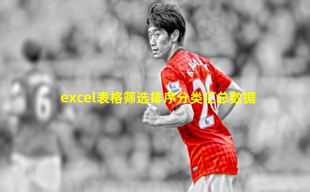 excel表格筛选排序分类汇总数据