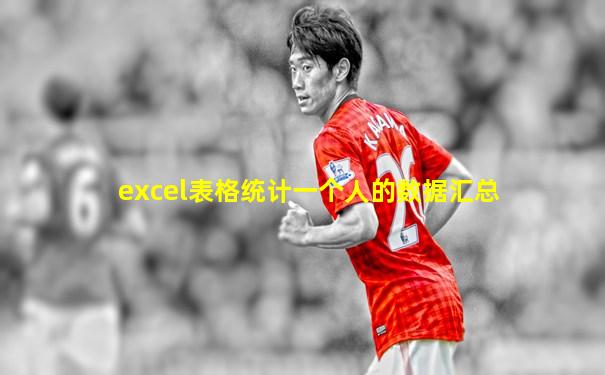 excel表格统计一个人的数据汇总