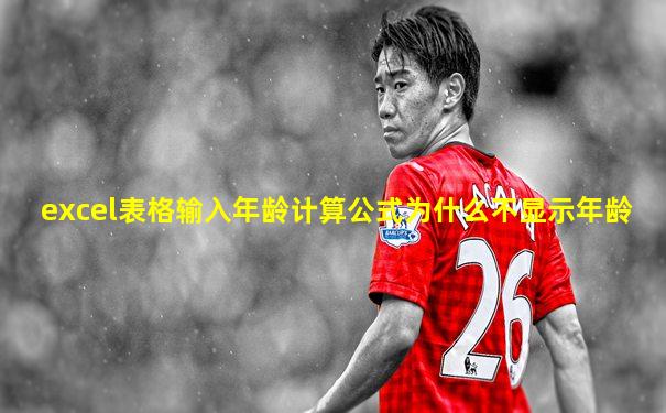 excel表格输入年龄计算公式为什么不显示年龄