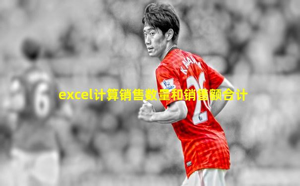 excel计算销售数量和销售额合计