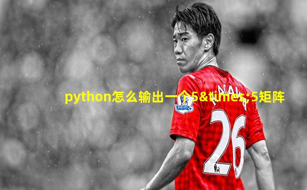python怎么输出一个5×5矩阵