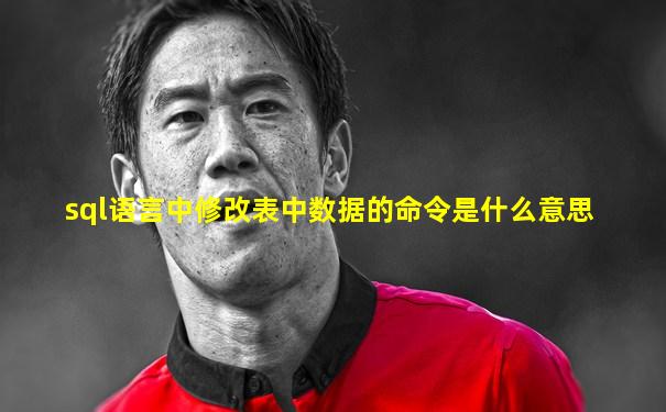 sql语言中修改表中数据的命令是什么意思