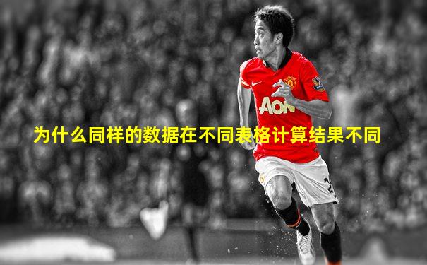 为什么同样的数据在不同表格计算结果不同