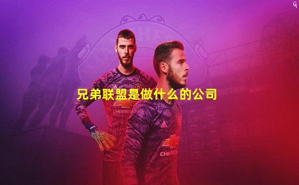 兄弟联盟是做什么的公司