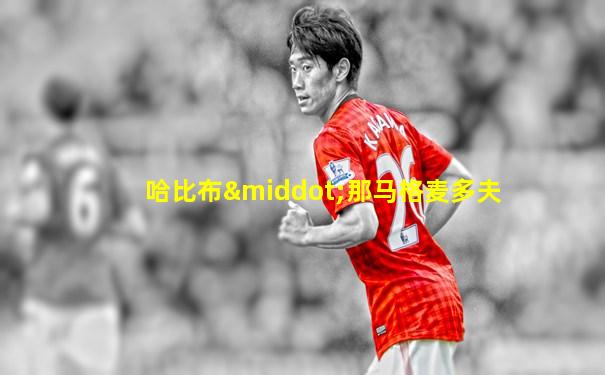 哈比布·那马格麦多夫