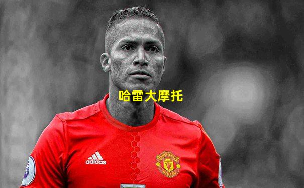 哈雷大摩托