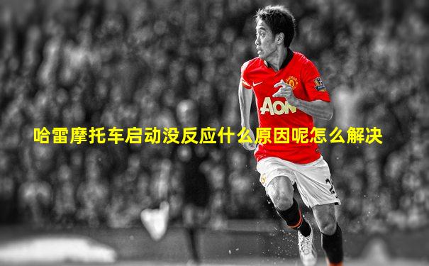 哈雷摩托车启动没反应什么原因呢怎么解决