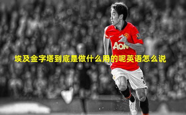埃及金字塔到底是做什么用的呢英语怎么说