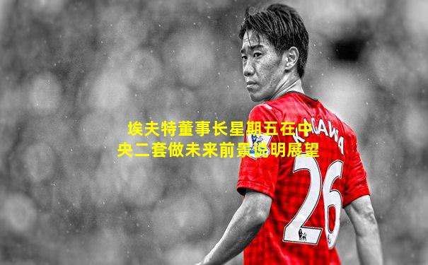 埃夫特董事长星期五在中央二套做未来前景说明展望