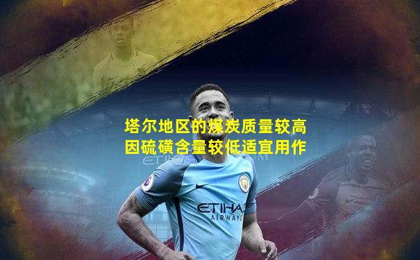 塔尔地区的煤炭质量较高因硫磺含量较低适宜用作