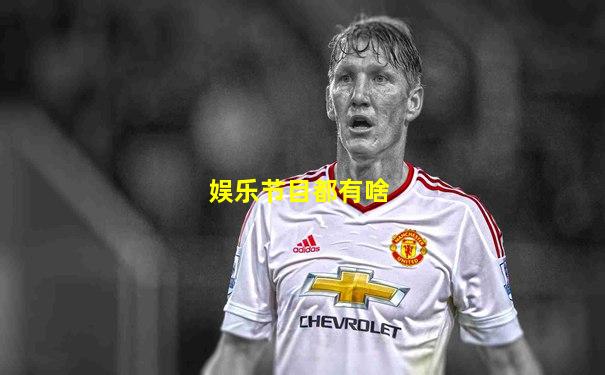 娱乐节目都有啥