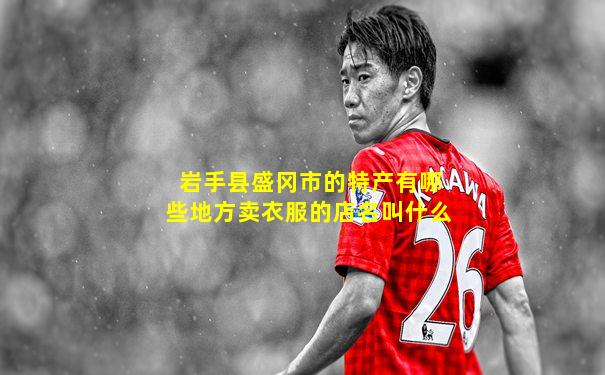 岩手县盛冈市的特产有哪些地方卖衣服的店名叫什么