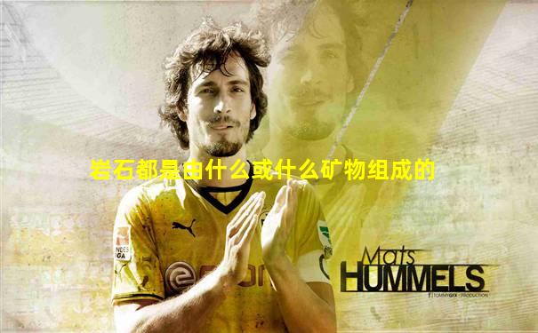 岩石都是由什么或什么矿物组成的