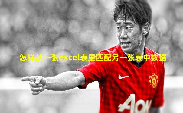 怎样从一张excel表里匹配另一张表中数据