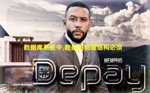 数据库系统中,数据的物理结构必须