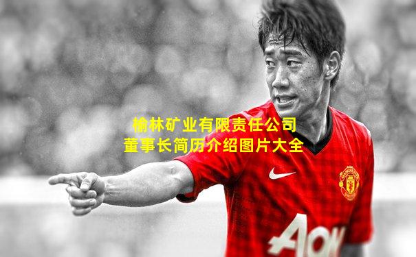榆林矿业有限责任公司董事长简历介绍图片大全