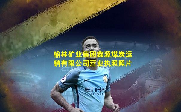 榆林矿业集团鑫源煤炭运销有限公司营业执照照片