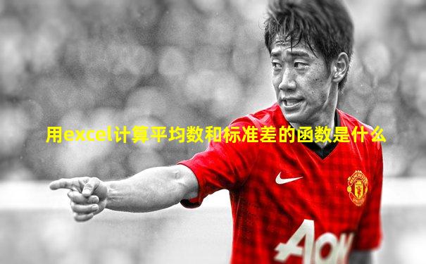 用excel计算平均数和标准差的函数是什么