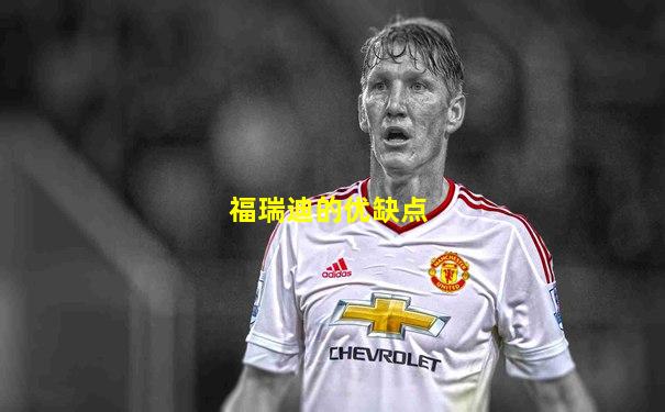 福瑞迪的优缺点