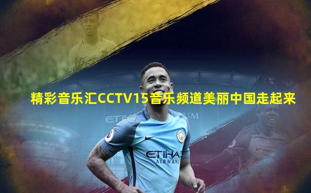 精彩音乐汇CCTV15音乐频道美丽中国走起来