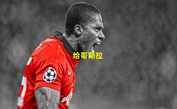 给哥斯拉
