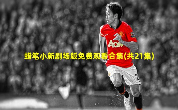 蜡笔小新剧场版免费观看合集(共21集)