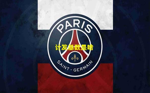 计发基数是啥