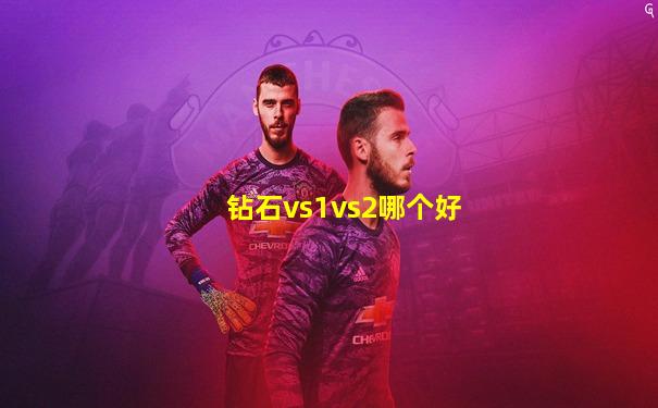 钻石vs1vs2哪个好