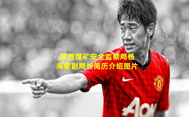 陕西煤矿安全监察局杨海荣副局长简历介绍图片