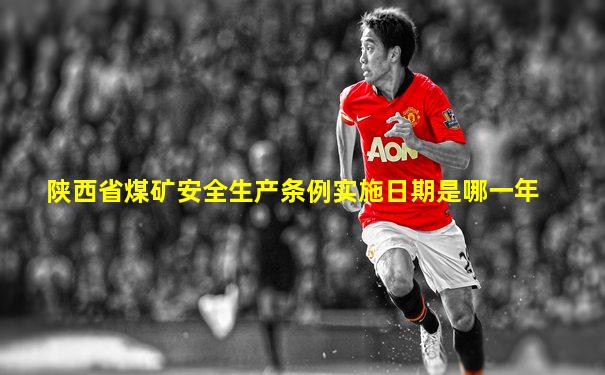 陕西省煤矿安全生产条例实施日期是哪一年